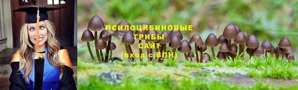 трава Михайловск