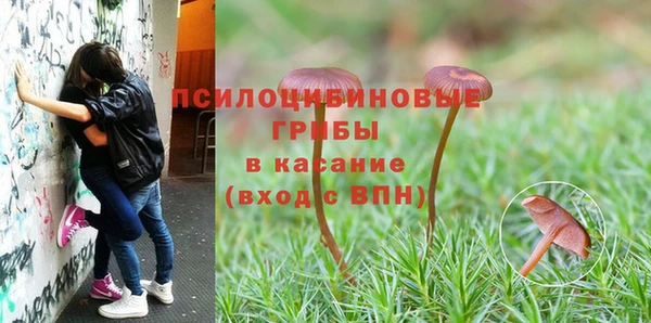 дмт Михайловка