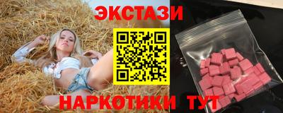 apvp Гатчина