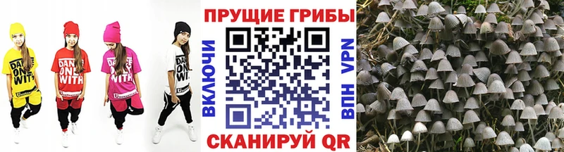 Псилоцибиновые грибы мухоморы Новотроицк