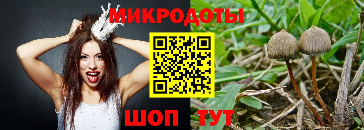 Псилоцибиновые грибы ЛСД  Новотроицк  Псилоцибиновые грибы Psilocybe 