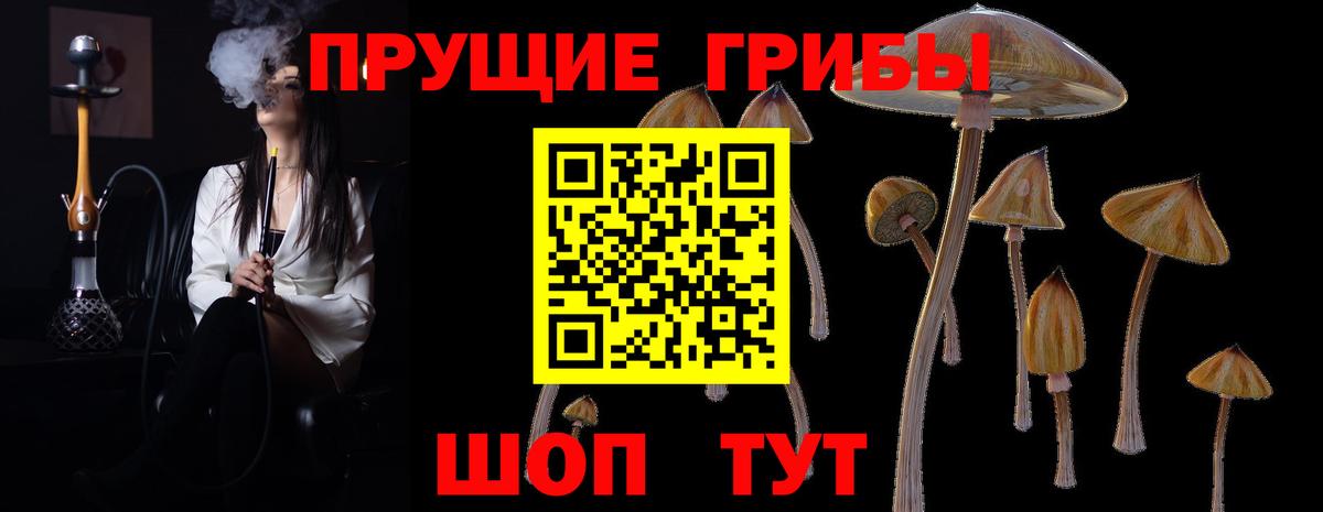 Псилоцибиновые грибы ЛСД Новотроицк