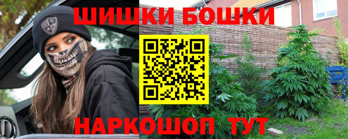 Бошки Шишки LSD WEED  Конопля план  Каннабис гибрид  Новотроицк 